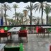 alicante-real-liceo-terraza-septiembre-2019