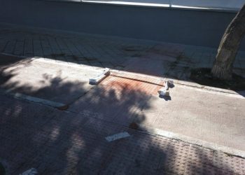 alicante-reparacion-acera-julio-2019-2