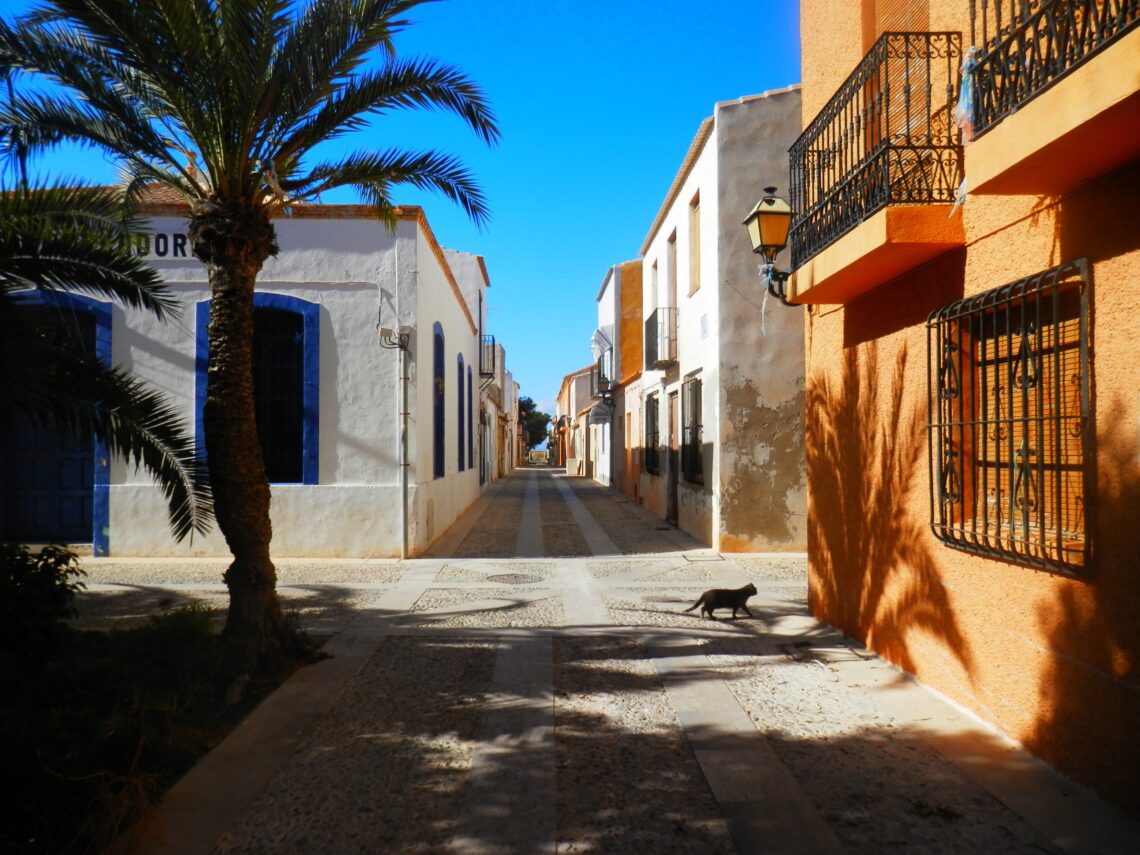 Durante parte de enero y febrero se suspendió el servicio de limpieza de parques y jardines