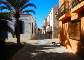 Durante parte de enero y febrero se suspendió el servicio de limpieza de parques y jardines