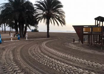 alicante-servicio-limpiea-tras-la-borrasca-gloria-enero-2020-5