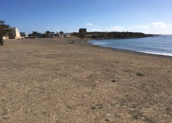 alicante-tabarca-limpieza-febrero-2019-4