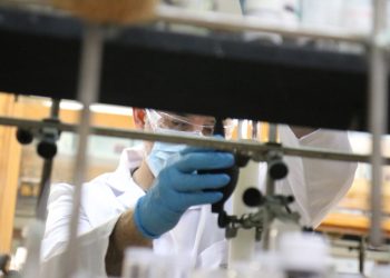 La Universidad de Alicante destina 2 millones de euros al fomento de la investigación científica