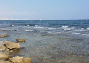 Investigadores de la UA evalúan cambio climático en áreas marinas protegidas del levante español