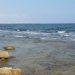 Investigadores de la UA evalúan cambio climático en áreas marinas protegidas del levante español