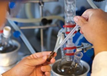 La UA sitúa a 67 investigadores entre los 5.000 mejores científicos españoles a nivel mundial