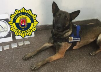 alicante-unidad-canina-febrero-2019