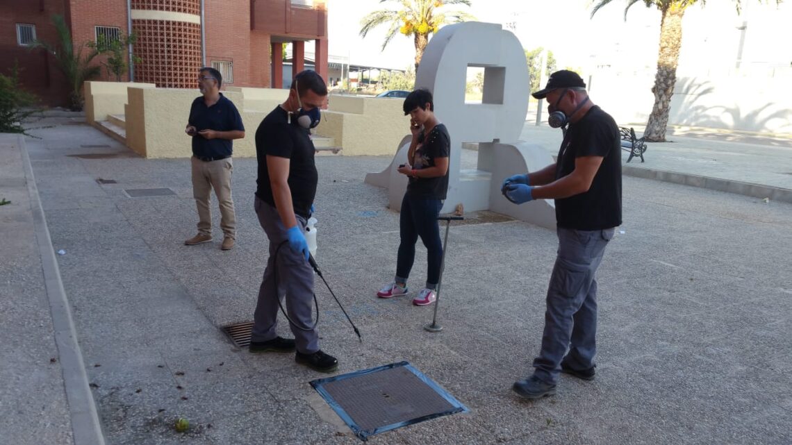 almoradi-control-de-plagas-abril-2019