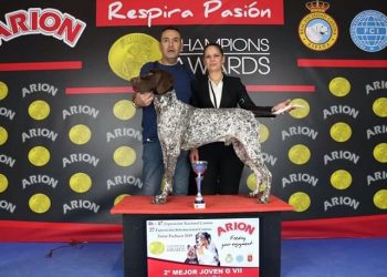 almoradi-el-perro-mas-bonito-noviembre-2019