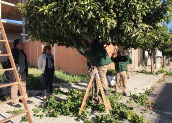 almoradi-taller-empleo-poda-febrero-2019