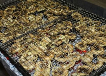 almoradi-torra-popular-marzo-2019