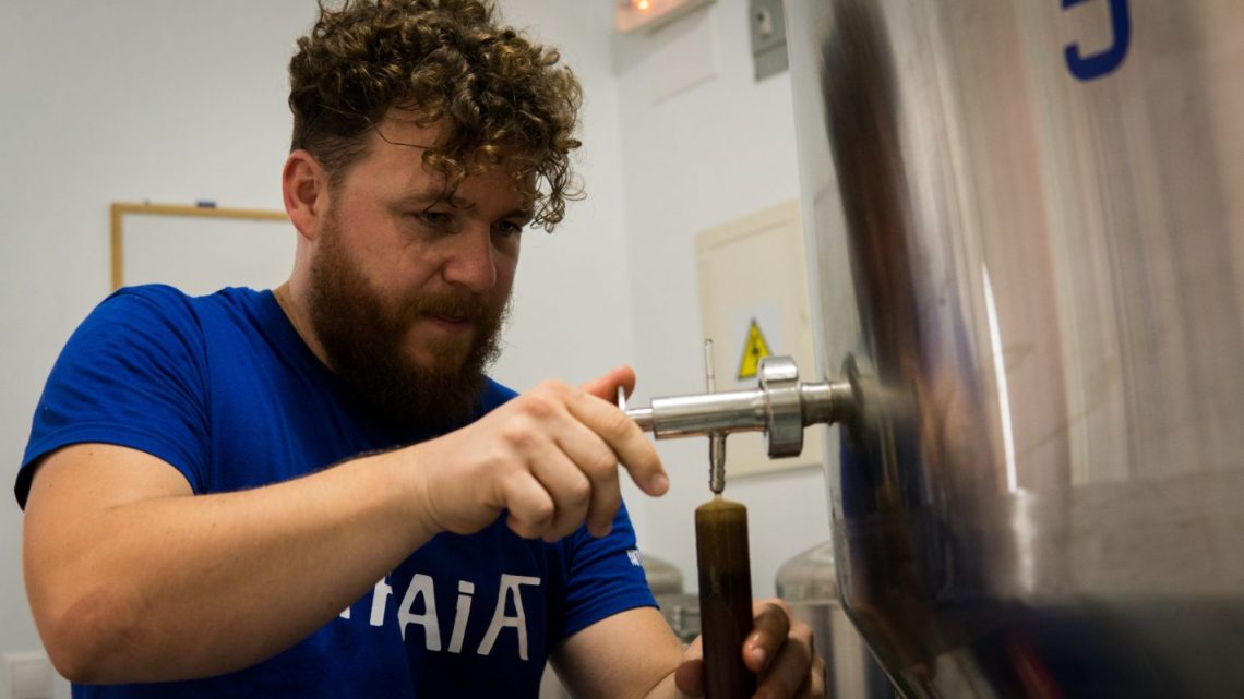 altea-cervezas-althaia-jorge-marzo-2020-02