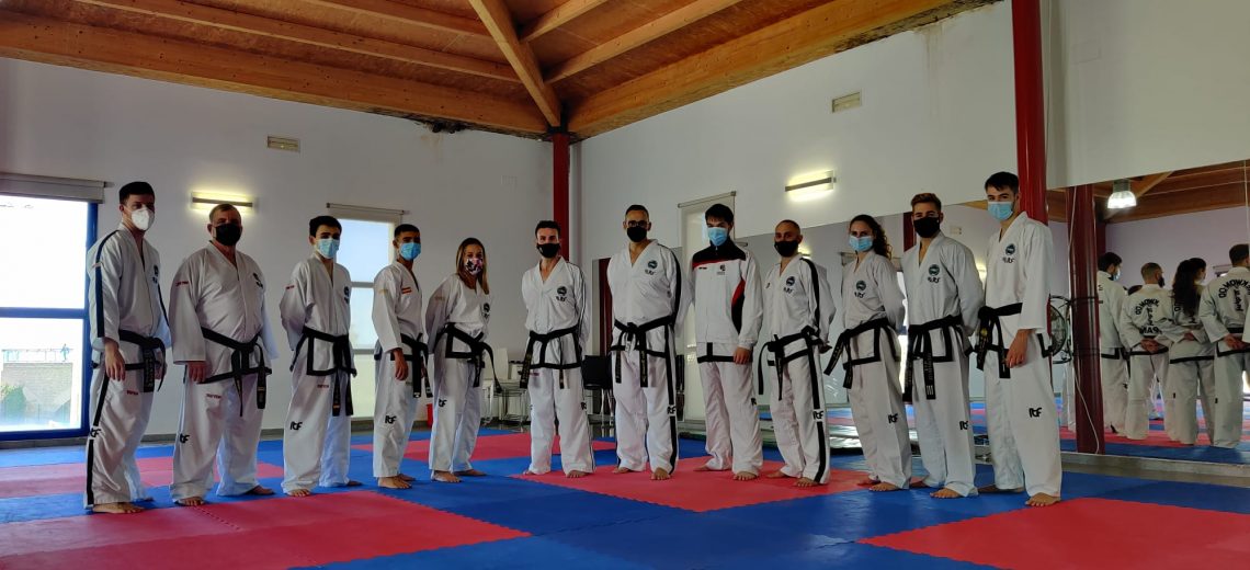 Reinventarse o morir en el tatami