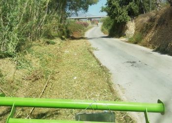 altea-limpieza-desbroce-de-canas-enero-2020-4
