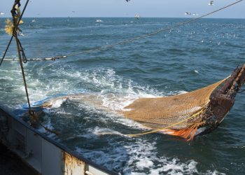 altea-pesca-diciembre-2019-09