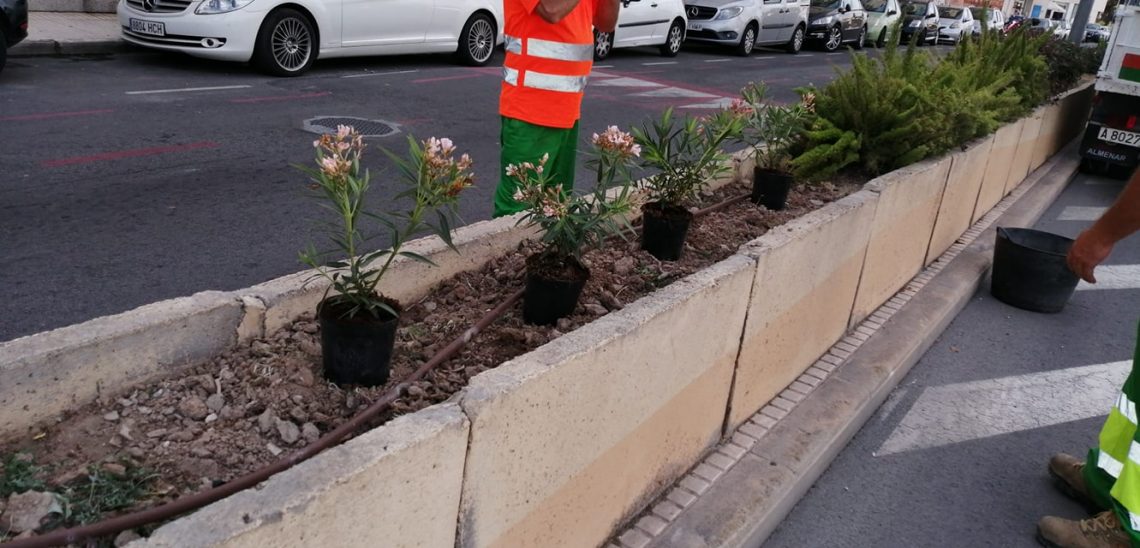 400 plantas para la Avenida Juan Alvado y el Camí de l´Algar