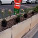 400 plantas para la Avenida Juan Alvado y el Camí de l´Algar