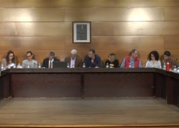 altea-pleno-febrero-2020