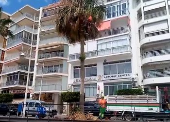 Las palmeras de Altea mejoran su imagen y salud gracias a la poda en altura