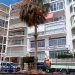 Las palmeras de Altea mejoran su imagen y salud gracias a la poda en altura