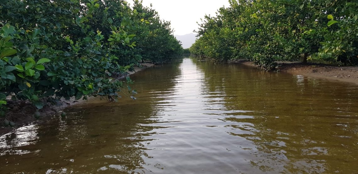 asaja-bancales-inundados-septiembre-2019