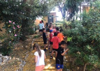 aspe-actividades-medio-ambiente-escuelas-municipales-deportivas-julio-2019