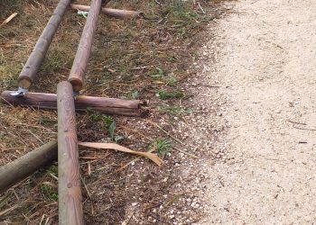 Medio Ambiente denuncia el aumento de actos vandálicos en el sendero del cauce del río Tarafa
