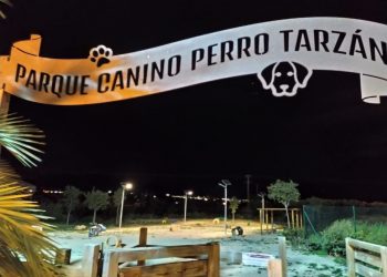 aspe-alumbrado-parque-canino-noviembre-2019-1