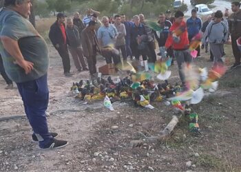 aspe-colombicultura-memorial-luis-calatayud-abri-2019