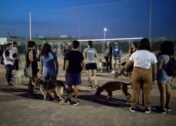 aspe-educacion-canina-septiembre-2019