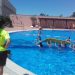 aspe-escuela-verano-mayo-2019