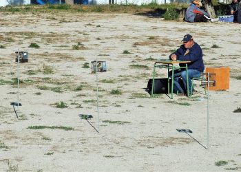 aspe-provincial-ornitologia-febrero-2020