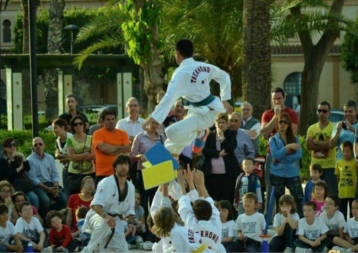 aspe-taekwondo-julio-2019
