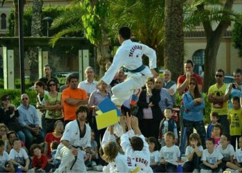 aspe-taekwondo-julio-2019