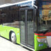 autobuses-elche