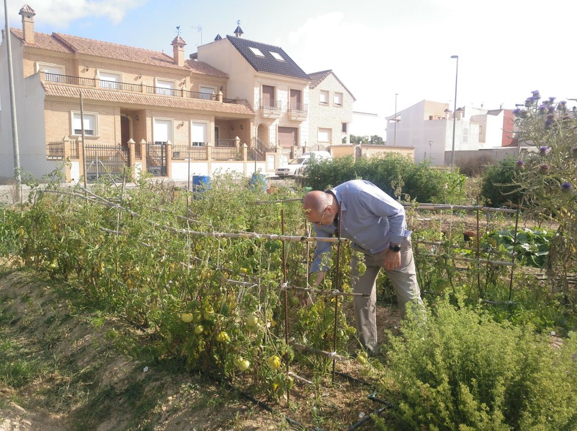 Benejúzar impulsa mejoras y actuaciones formativas en los huertos municipales