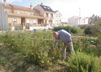 Benejúzar impulsa mejoras y actuaciones formativas en los huertos municipales