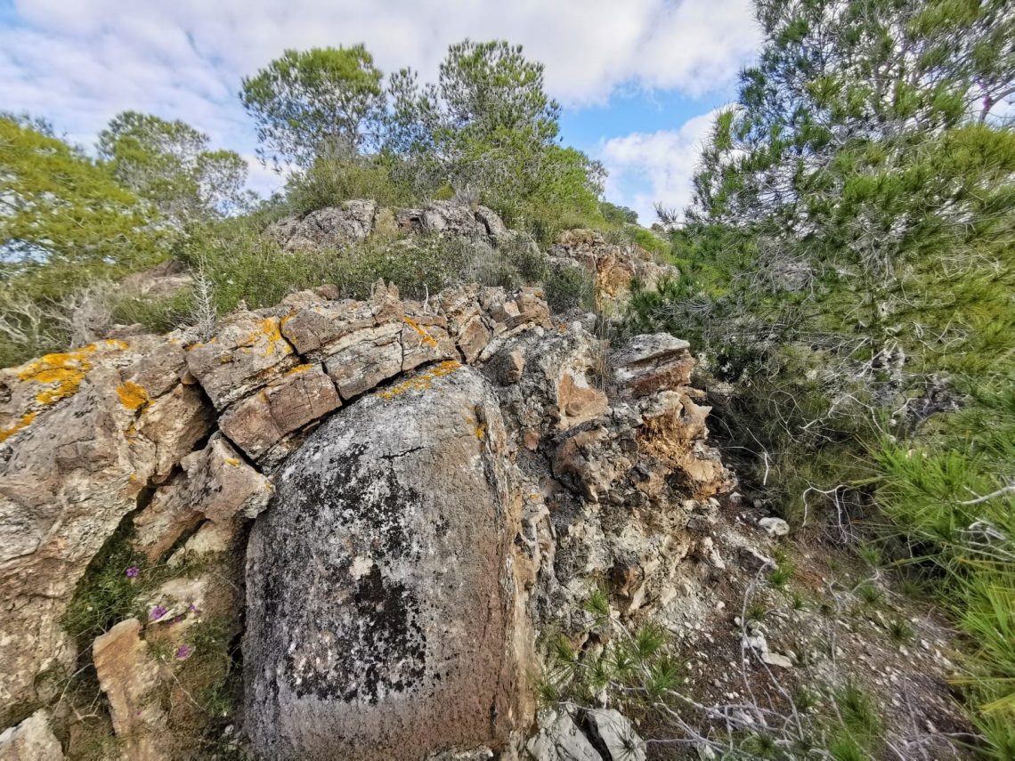 benejuzar-sierra-benejuzar-enero-2020