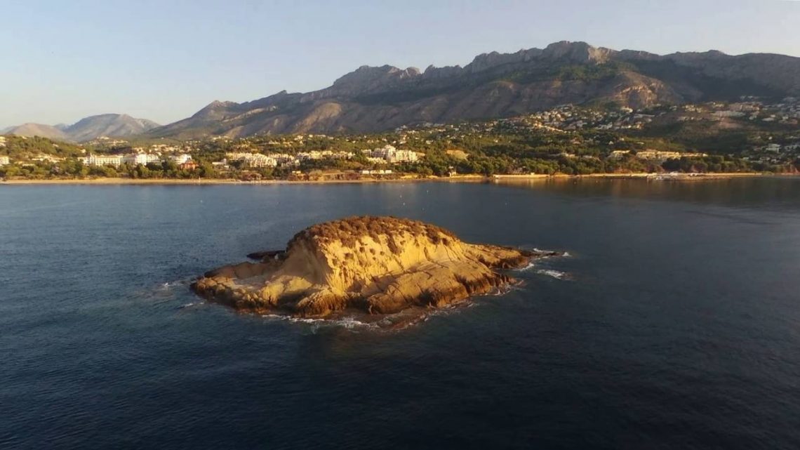 benidorm-parc-natural-febrero-2020-05