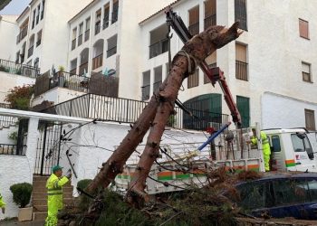 benidorm-temporal-gloria-febrero-2020-03