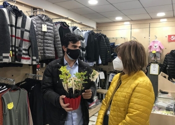 Bigastro comienza la campaña “Adopta un árbol con el Comercio Local” repartiendo ejemplares autóctonos