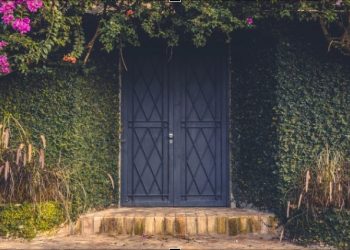 bumping-puerta-seguridad