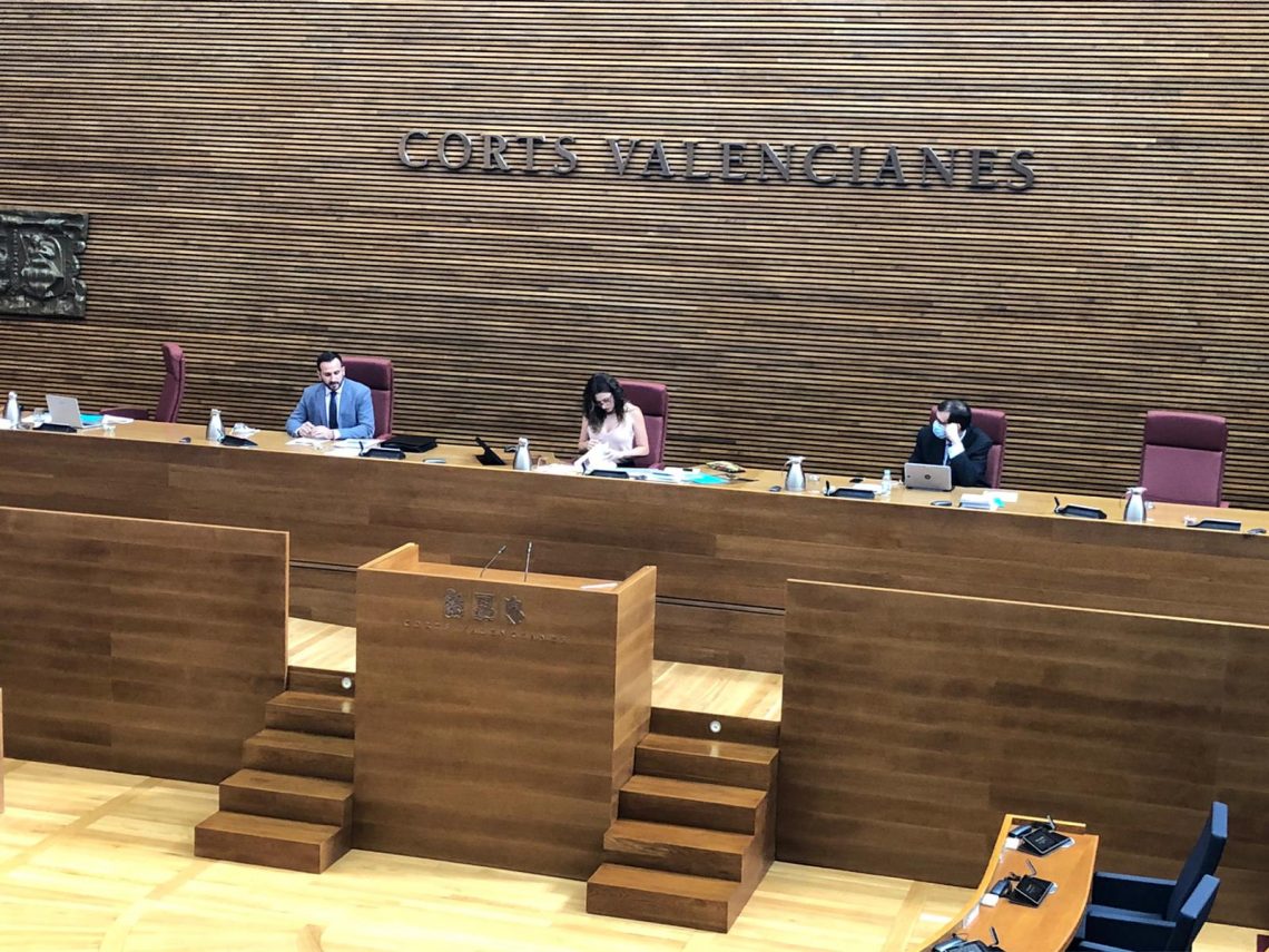 Manuel Martínez Sirvent expone las exigencias de Callosa ante las Cortes Valencianas