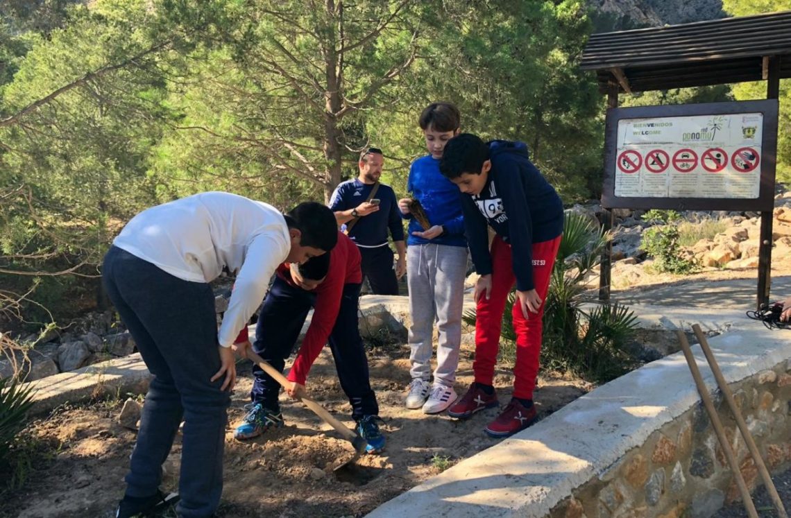 callosa-reforestacion-febrero-2