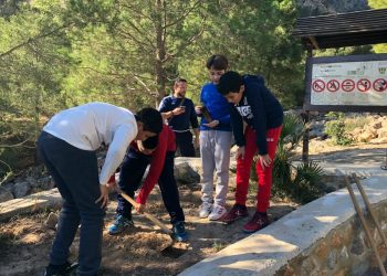 callosa-reforestacion-febrero-2