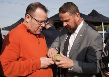 campana-alcachofa-2018-2019-enero-cox-01