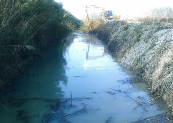 Catral concluye los trabajos de limpieza y mondado del Azarbe de “El Riacho”