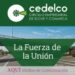 cedelco-elche-febrero-2019-1