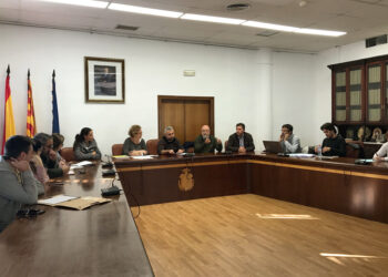 consejo-local-santa-pola-diciembre-2018
