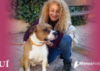 «Es increíble el aumento de peticiones de adopción de perros para utilizarlos como excusa para salir a la calle»